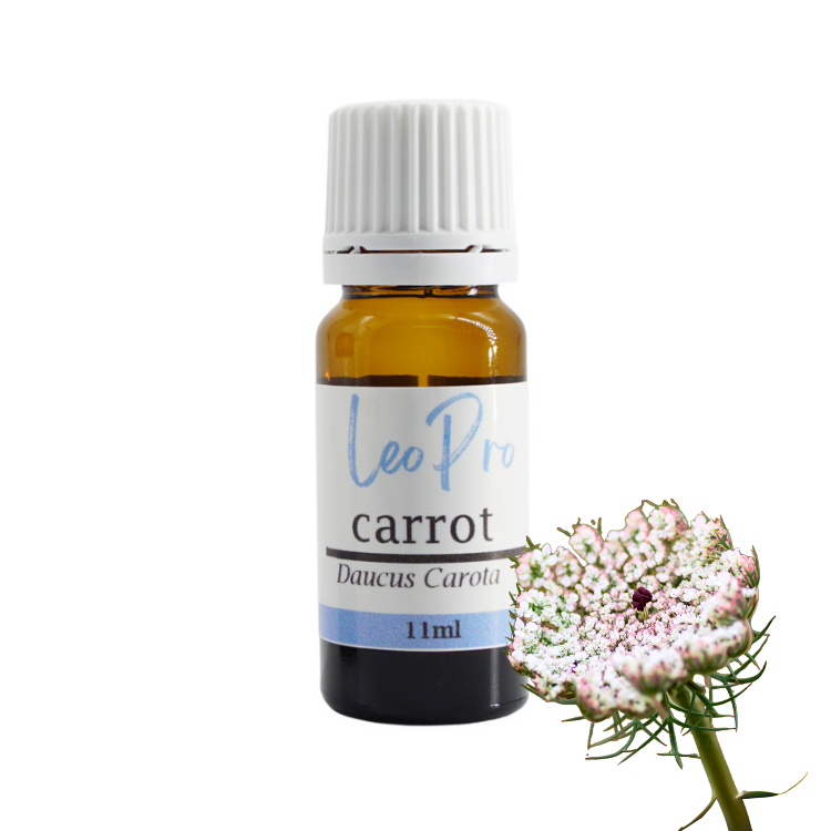 plant therapy carrot seed oil Carrot Essential Oil 11ml