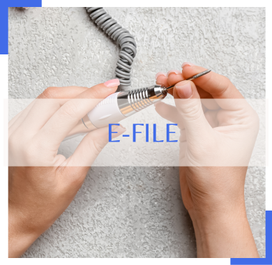 E File Agent E-File