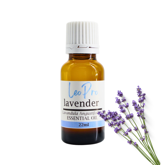 Lavender Essential Oil - Lavandula angustifolia Mill.