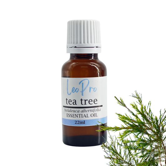 Tea Tree Organic Essential Oil - Melaleuca Alternifolia
