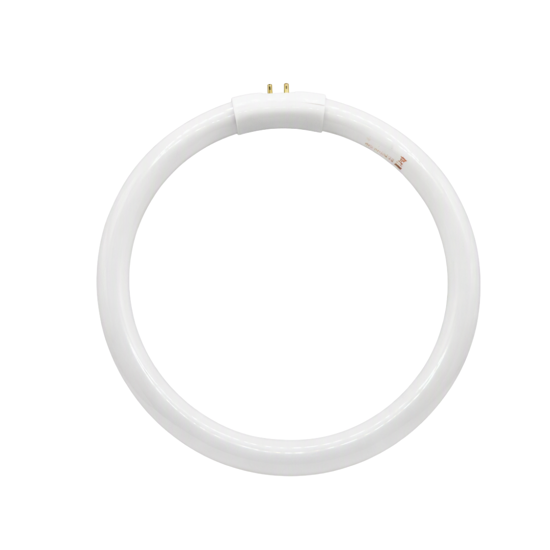 A white circular fluorescent light tube with two small gold metal contact pins at the top, isolated on a solid white background.