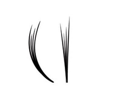 Lash beLong Eyelash Volume Extensions