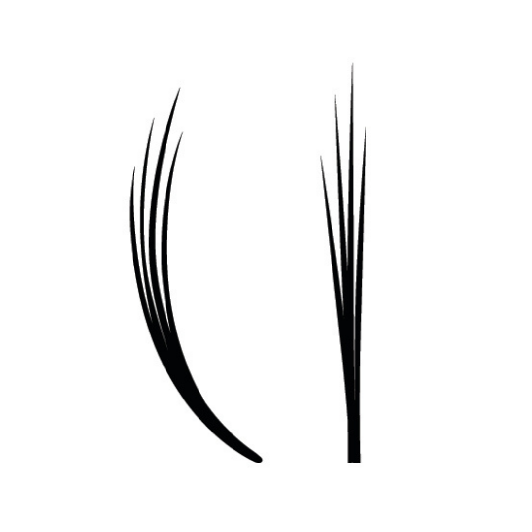Black false eyelash cluster pieces shown on a plain white background, with one curved fan and one upright fan arrangement.