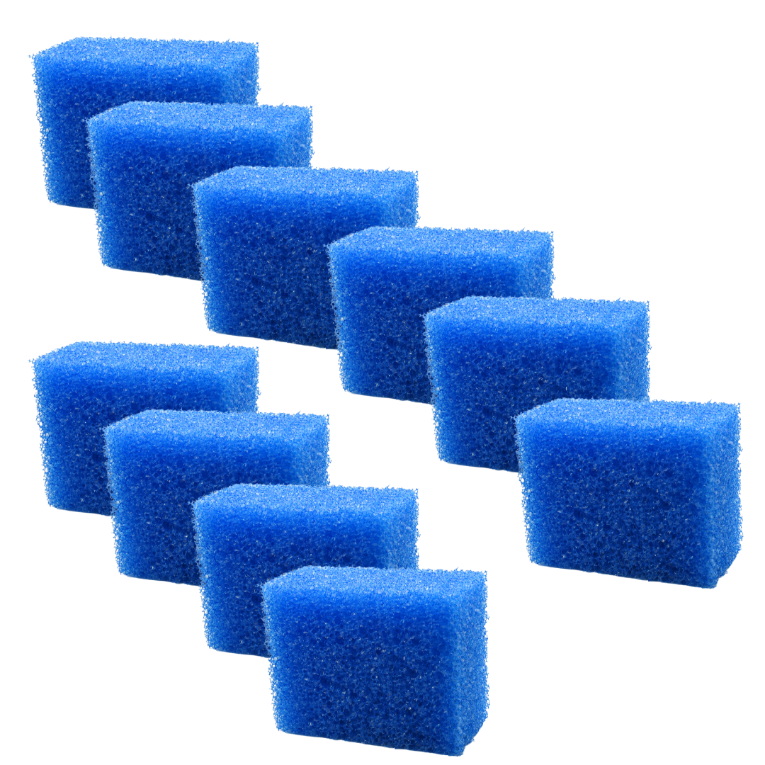 Ten blue foam sponge blocks arranged diagonally on a plain white background.