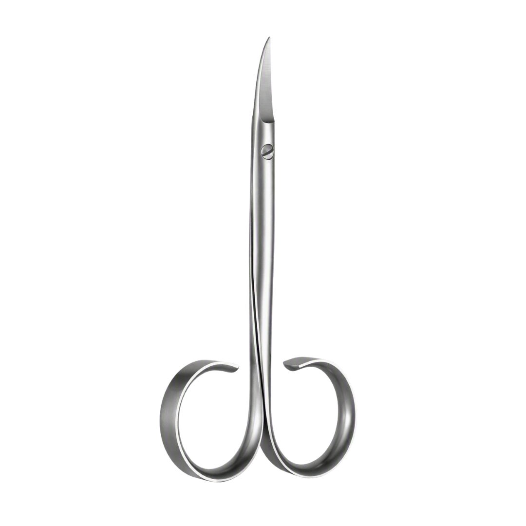 A Rubis pair of metallic silver nail scissors with a sleek, curved design and sharp pointed blades, isolated on a solid white background.
