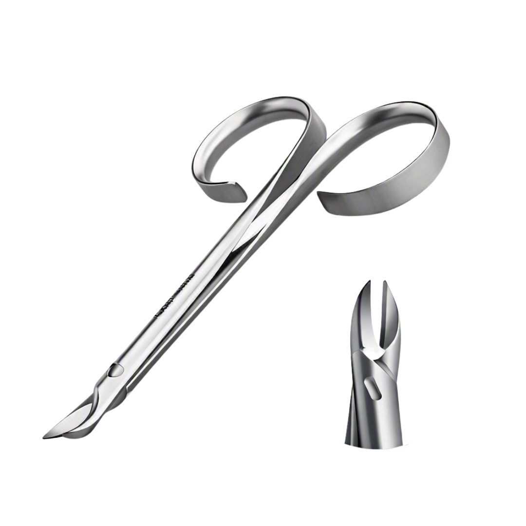 A pair of Rubis metallic silver thick toenail clippers with a separate close-up view of the cutting head, shown on a plain white background.